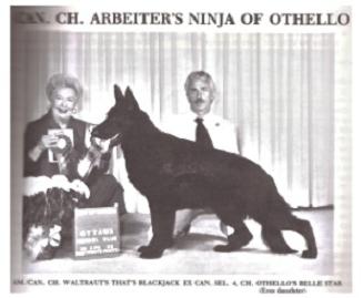 CH Arbeiter's Ninja of Othello