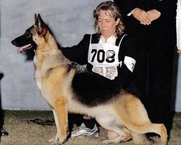 SEL EX CH (US) Utopia's Blast From The Past