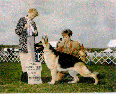 Aztec's Chantilly Lace