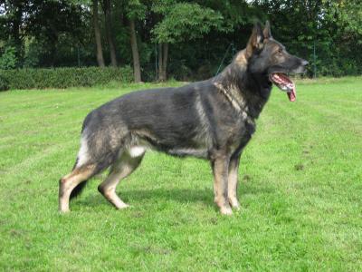 Bablo vom Waisagrund