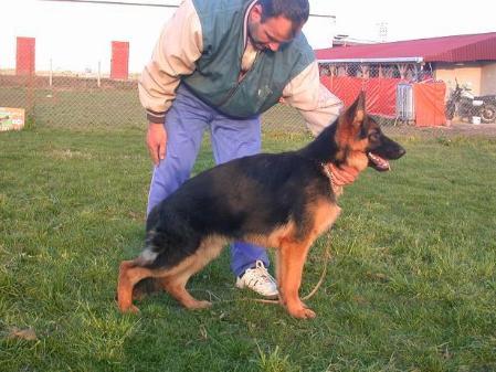 İvo von Tuni
