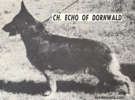 CH (US) Echo of Dornwald