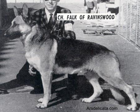 SEL CH (US) Falk of Ravinswood