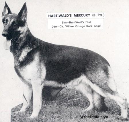 Hart-Wald's Mercury