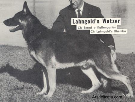 Lahngold's Watzer