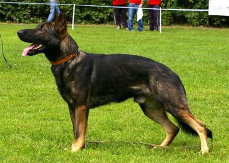 SG Franco von der Schiffslache