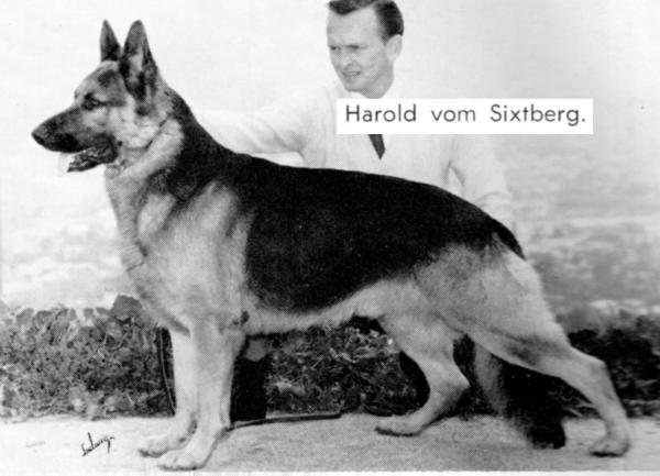 Harold vom Sixtberg