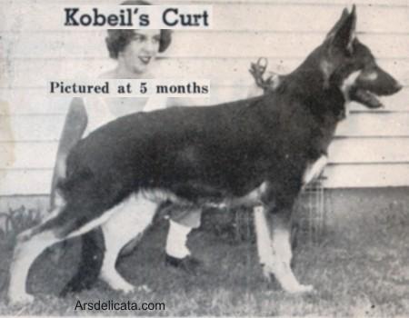 Kobeil's Curt
