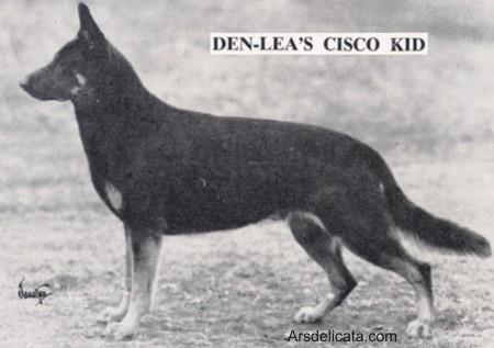 CH (US) Den-Lea's Cisco Kid