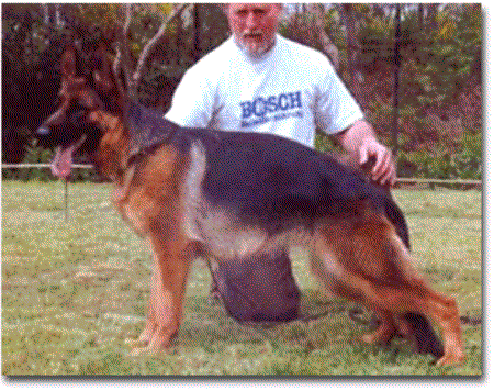 SG Milù di casa Cacozza