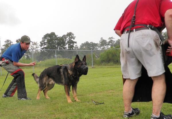 Beschützer des Jägers von den Sportwaffen
