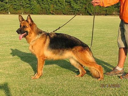 Mala vom Schleudersitz