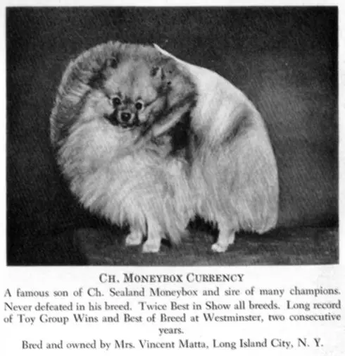 AM CH Moneybox Currency