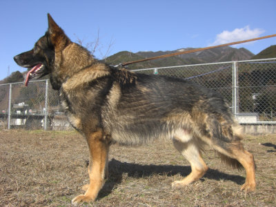 V Jen-Ager's No-Body