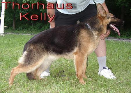 THORHAUS KELLY