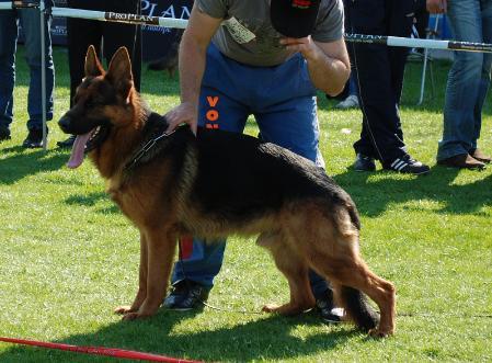 ROMANIA SIEGER,JHKL THORHAUS TARSO