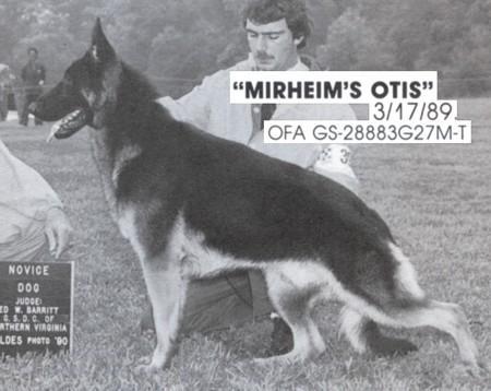 CH (US) Mirheim's Otis