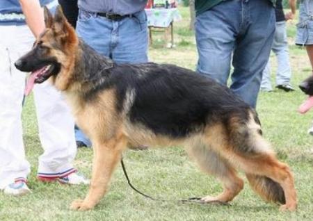 SG1 Ary di Casa Ossola