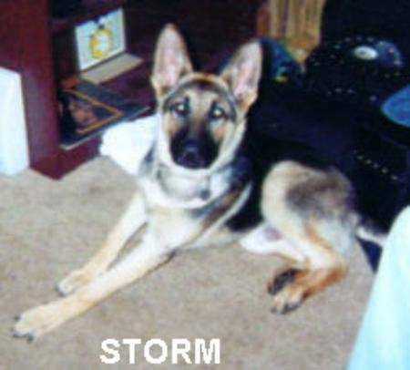 Thor's Storm