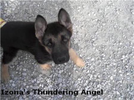Izona's Thundering Angel