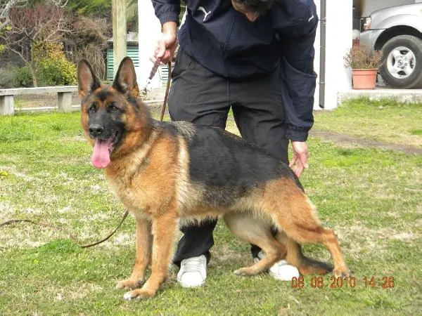 SG1 (ARG) Joga Von Giselle