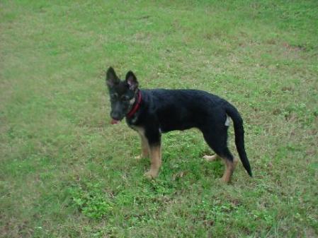 Carney von der Tetiaroa