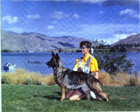 Norberge's Chakira von Padala