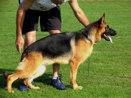 Sheila van de Zomerdijkslanden