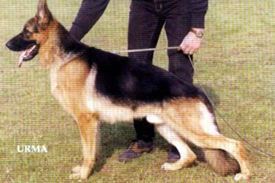 SG Marco von Bewie