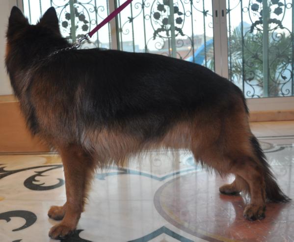 Laius von der Urbecke