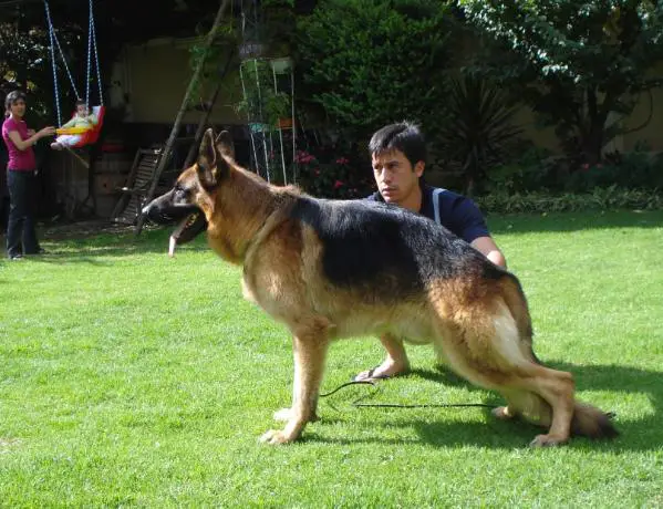 Zarro von Kisman