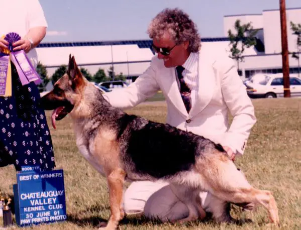 CH (CAN) Shereldean's Never Say Never