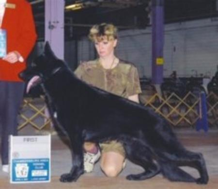 Von Hornberger's Nike Of Jolin