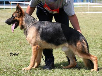 Sid von der Wagnerzunft