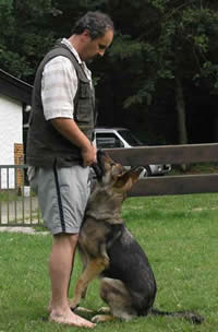 SG Ulme von der Sägmühle