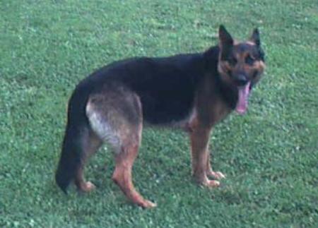 Fredrick Vom Hubner Haus