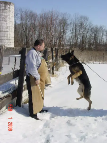 Clint zur Kinzigbrücke