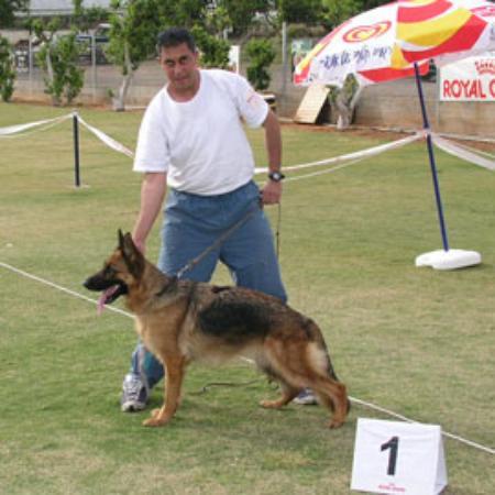 V1CHAMP (ISR) Rishon Sade Yarok