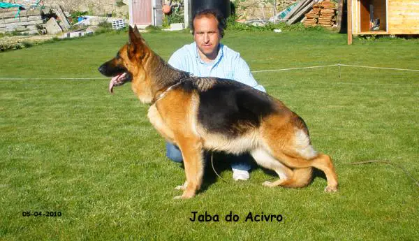 JABA DO ACIVRO