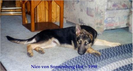 Nico von Sonnenberg Hof
