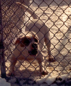 Margentina's Betty Lou Savage