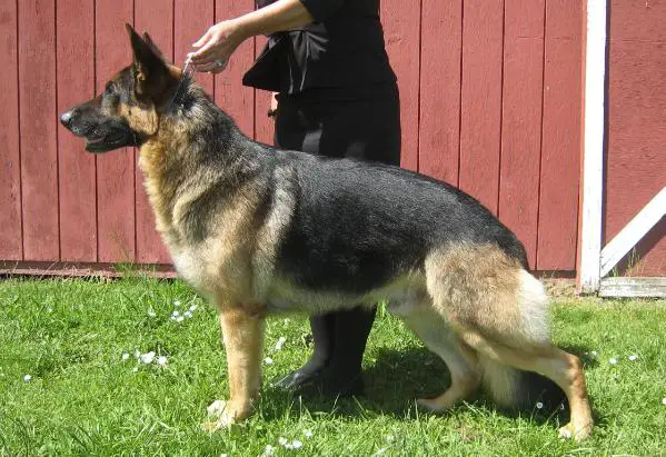 Valley View's Wild in the Country