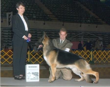 CH (AKC) Donagan O'Rourke Of Heinerburg