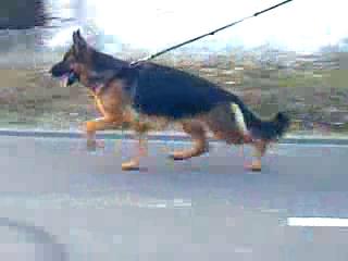 Limoge von der Furstenkrone