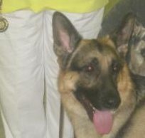 INTCH Bar-Mill Tales of Hoffman