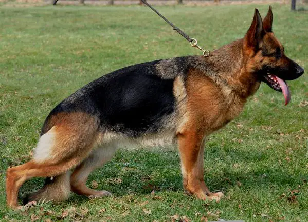 V Caya von der Lars Aue