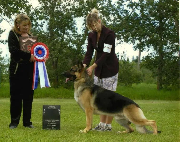 MBPISS BIM RFM CH Abbaway Shep Haven Bush Pilot