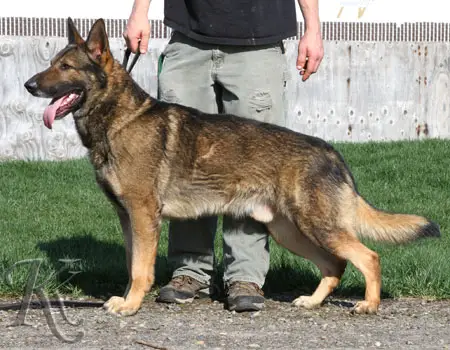 Wasco von der Salztal-Höhe