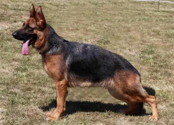 Karina de Cans de Rabade