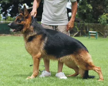 Vegas von  Weber-Haus